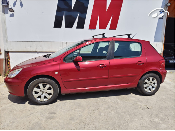 Peugeot 307 1.6 4