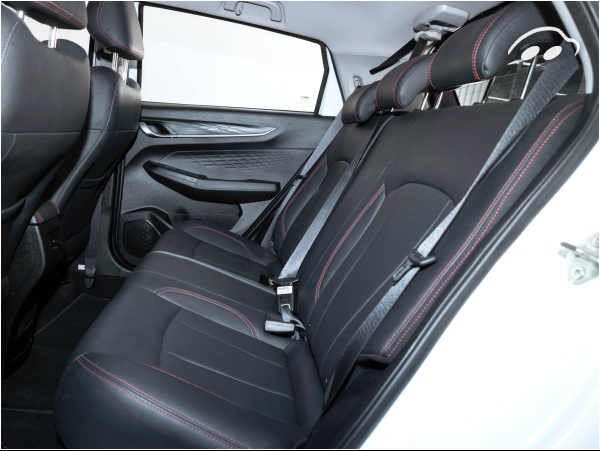 Livan X3 pro 1.5 103CV 11